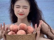 快手直播举报全攻略，从个人操作到专业维权的完整指南，快手直播怎样举报直播间